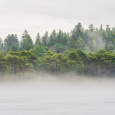 Kesselsee Nebel Quadratisch