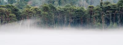 Kesselsee Nebel Panorama
